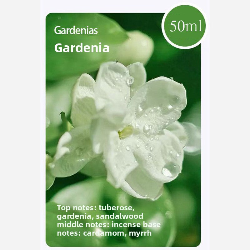 Smart aromatherapy machine + perfume